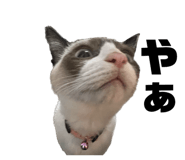 637534655