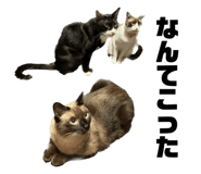637534683