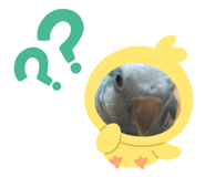 637549640