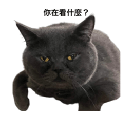 637563822