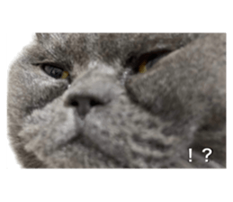 637563831