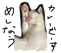 637577749