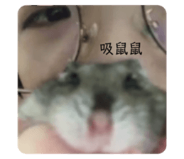 637589327