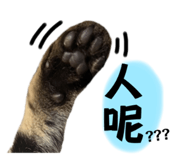 637589954