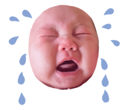 637644593