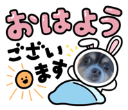 637646896