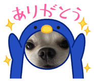 637646898