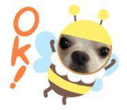 637646899