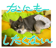 637646901