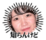 637677050