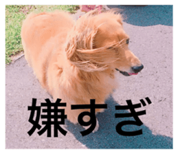 637677168