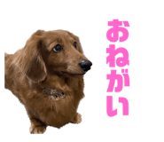 637704895