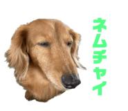 637704896