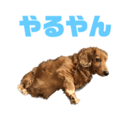 637704899