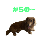 637704902