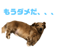 637704909