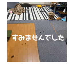 637712259