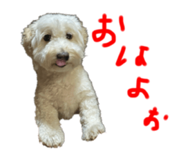 637712385