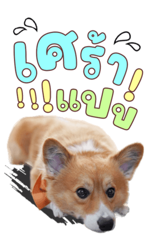 637717042
