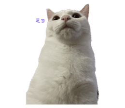637720368