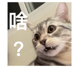 637726867