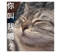 637726868