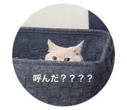 637739917