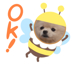 637749947