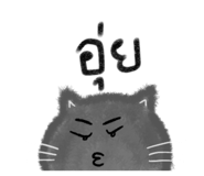 637750091