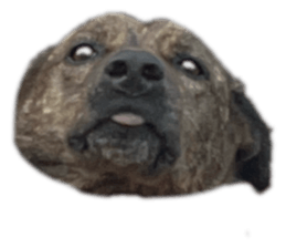 637757569