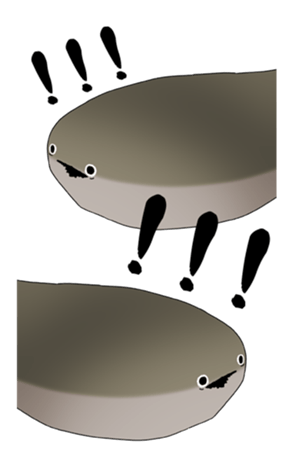 637781410