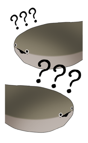 637781411