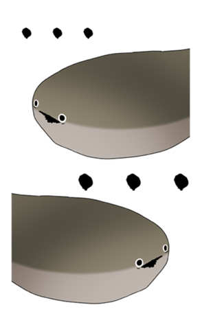 637781412
