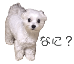 637820949