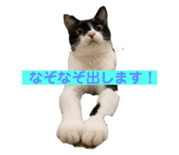 637839976