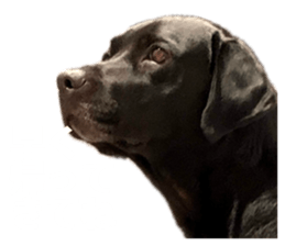 637847069
