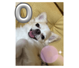 637893054