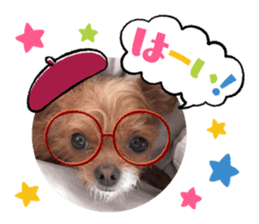 637897770