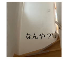 637901172