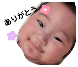637901523