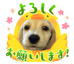 637908605