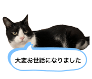637909171
