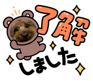 637910968