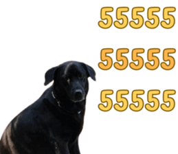 637926026