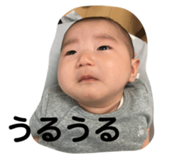 63793006