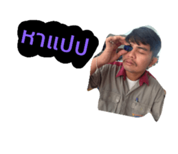63795325