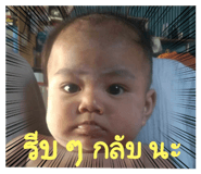 637961368