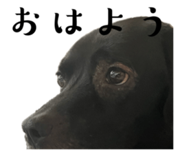 637963935