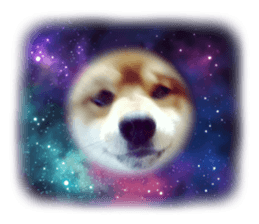 637964099