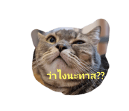 637985230
